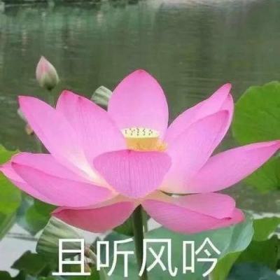 新华网“我为群众办实事”江苏专区揭牌上线